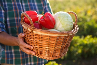 Photo of Harvesting season. Farmer with wicker basket of fresh vegetables in field on sunny day, closeup