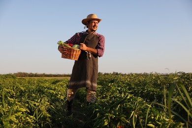 Harvesting season. Farmer with wicker basket of fresh vegetables in field on sunny day