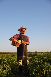 Harvesting season. Farmer with wicker basket of fresh vegetables in field on sunny day