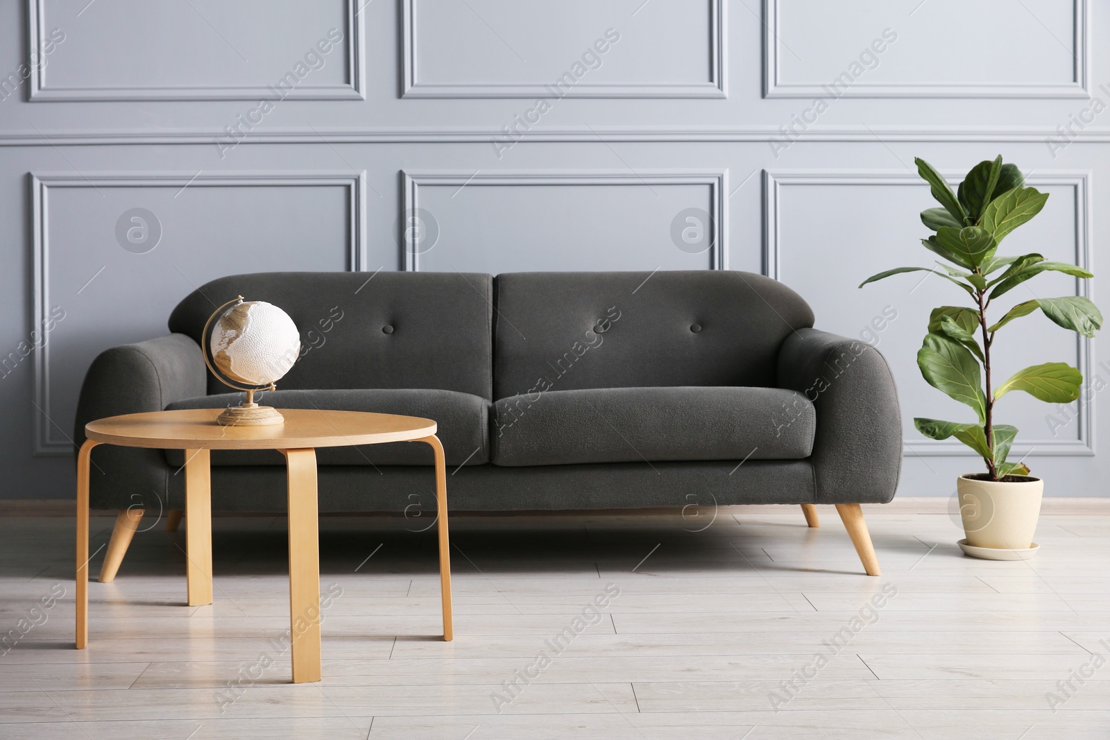 Photo of Stylish sofa, green plant and globe on coffee table in room