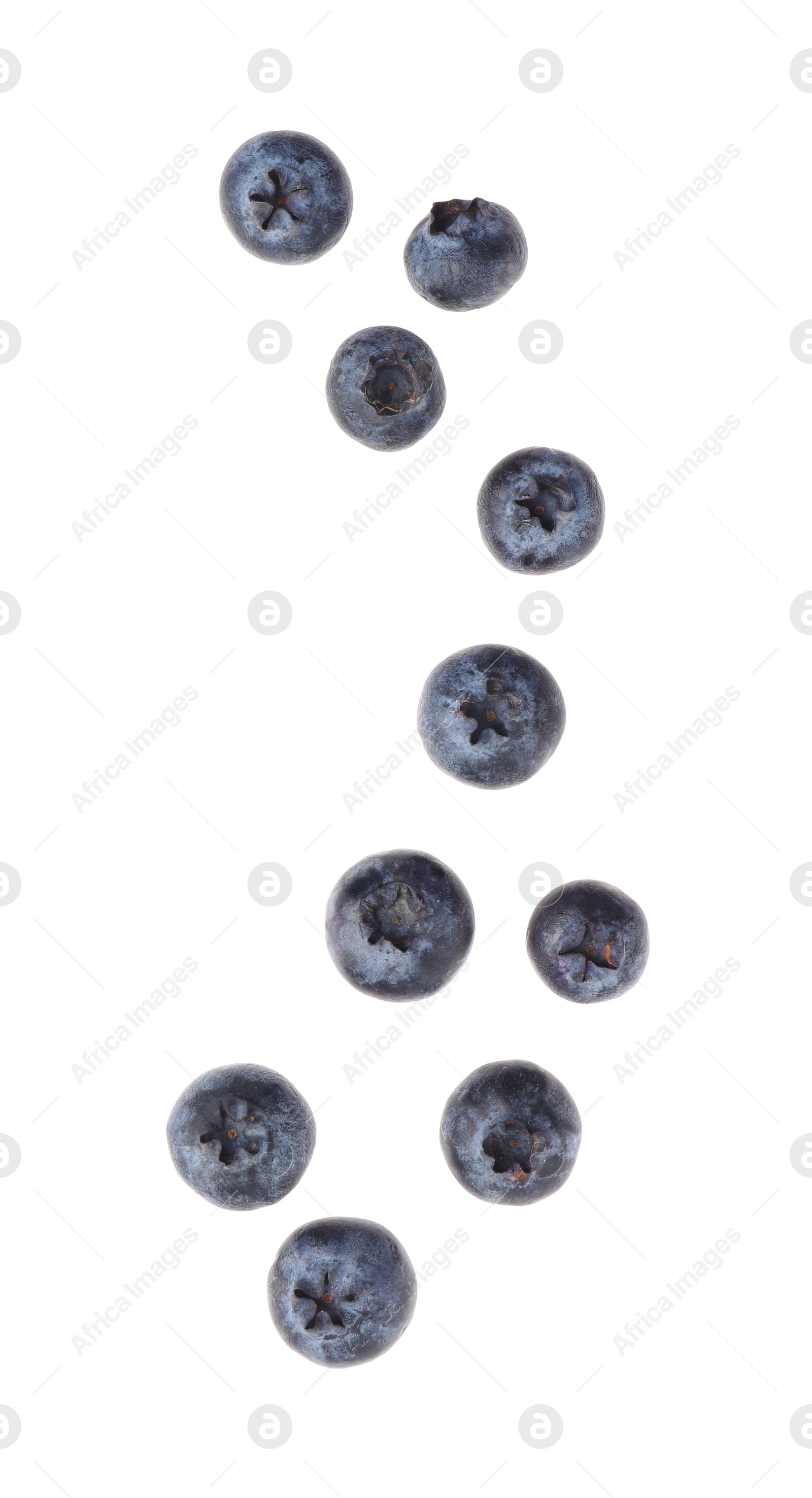 Photo of Many fresh ripe blueberries isolated on white