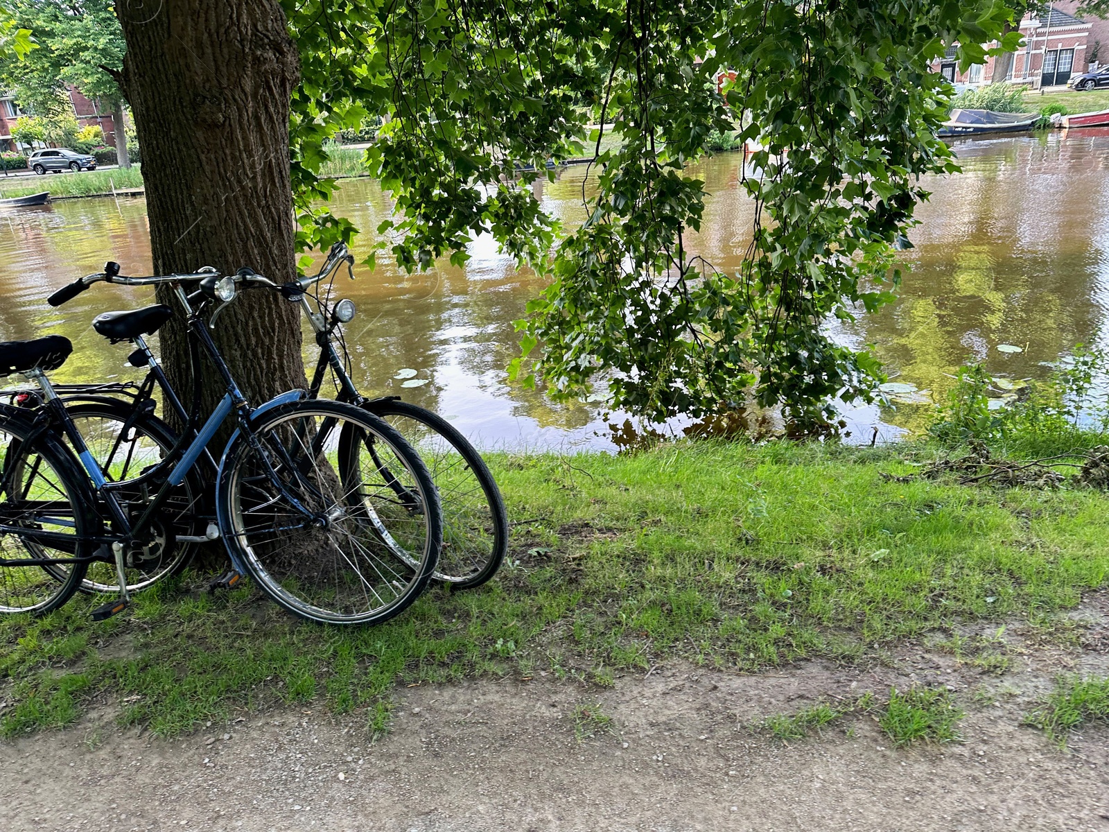 Photo of Bicycles parked at tree near canal outdoors