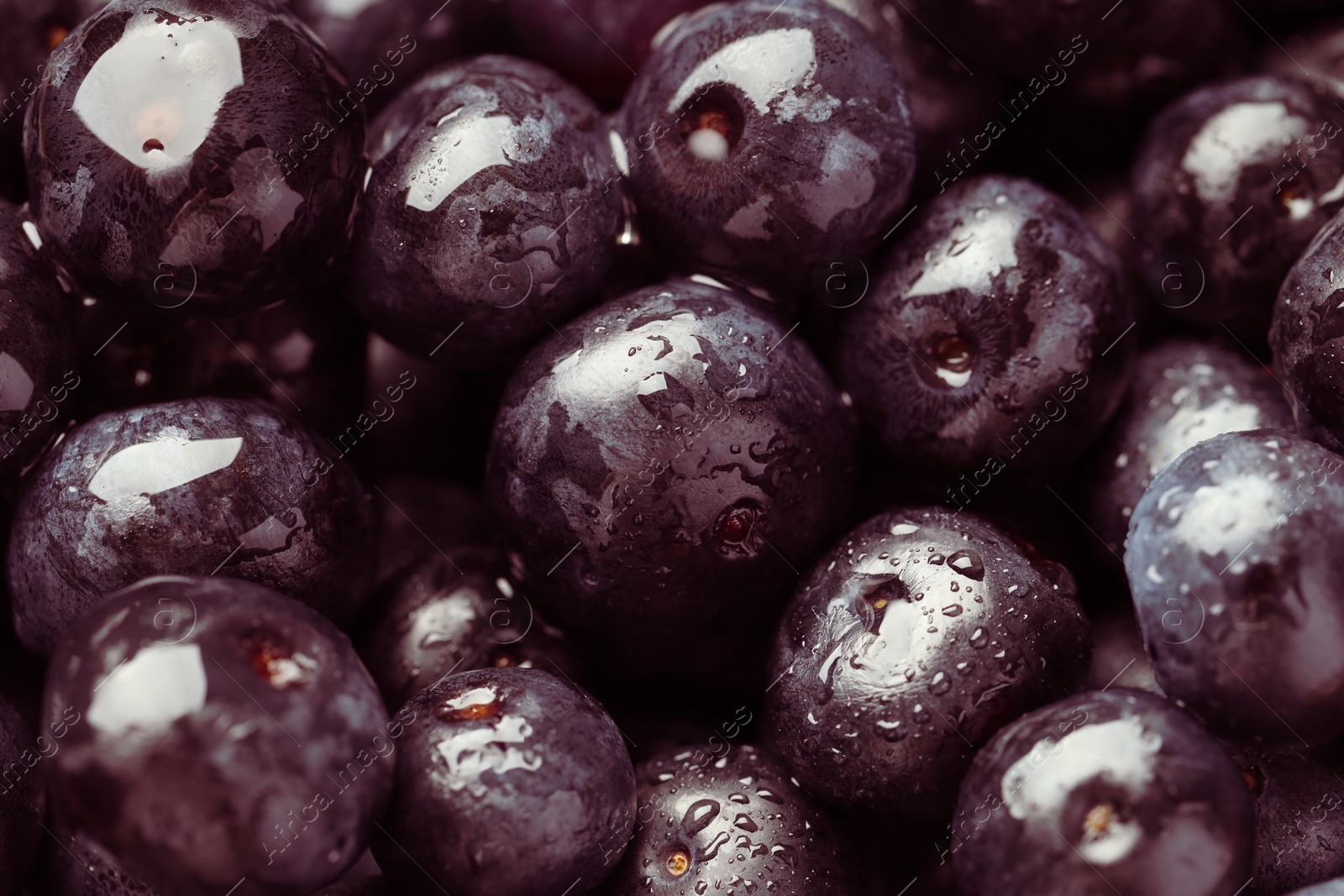 Photo of Wet acai berries as background, closeup view