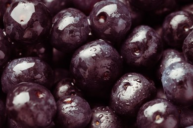 Photo of Wet acai berries as background, closeup view