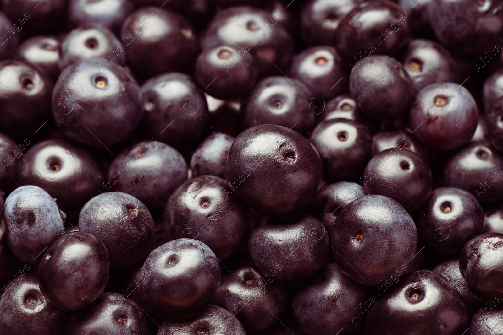 Photo of Ripe acai berries as background, closeup view