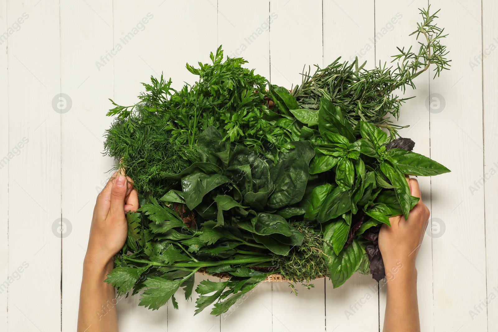 Photo of Woman holding different fresh herbs in basket at white wooden table, top view