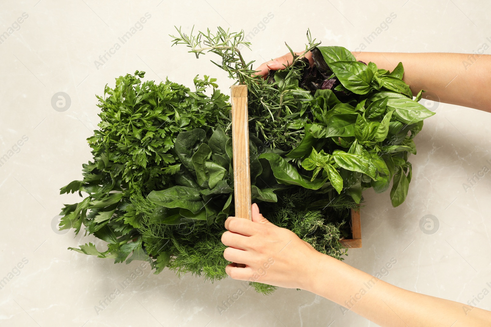 Photo of Woman holding different fresh herbs in wooden basket at light table, top view