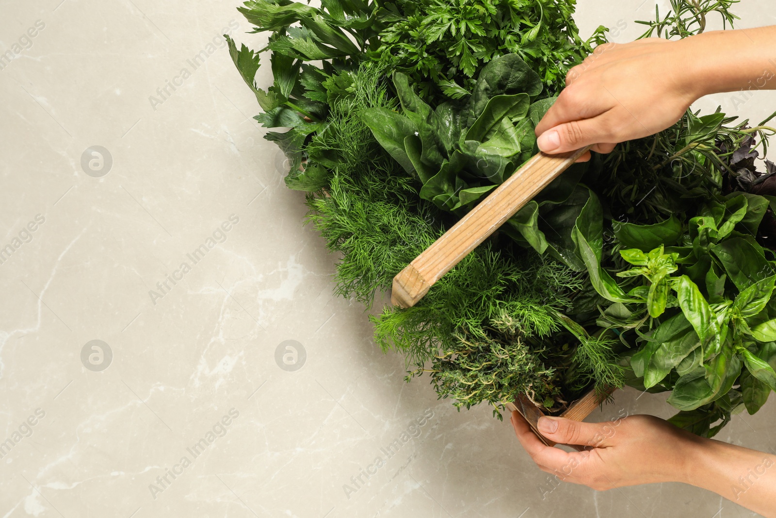 Photo of Woman holding different fresh herbs in wooden basket at light table, top view. Space for text