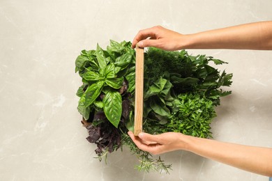 Photo of Woman holding different fresh herbs in wooden basket at light table, top view