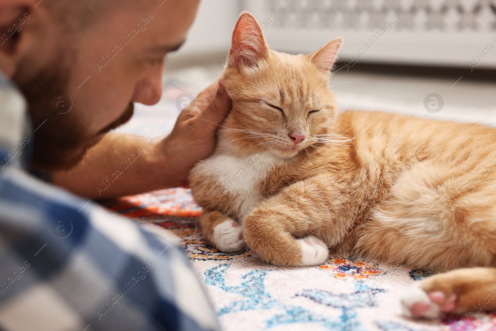 Photo of Man petting cute ginger cat on floor at home, closeup