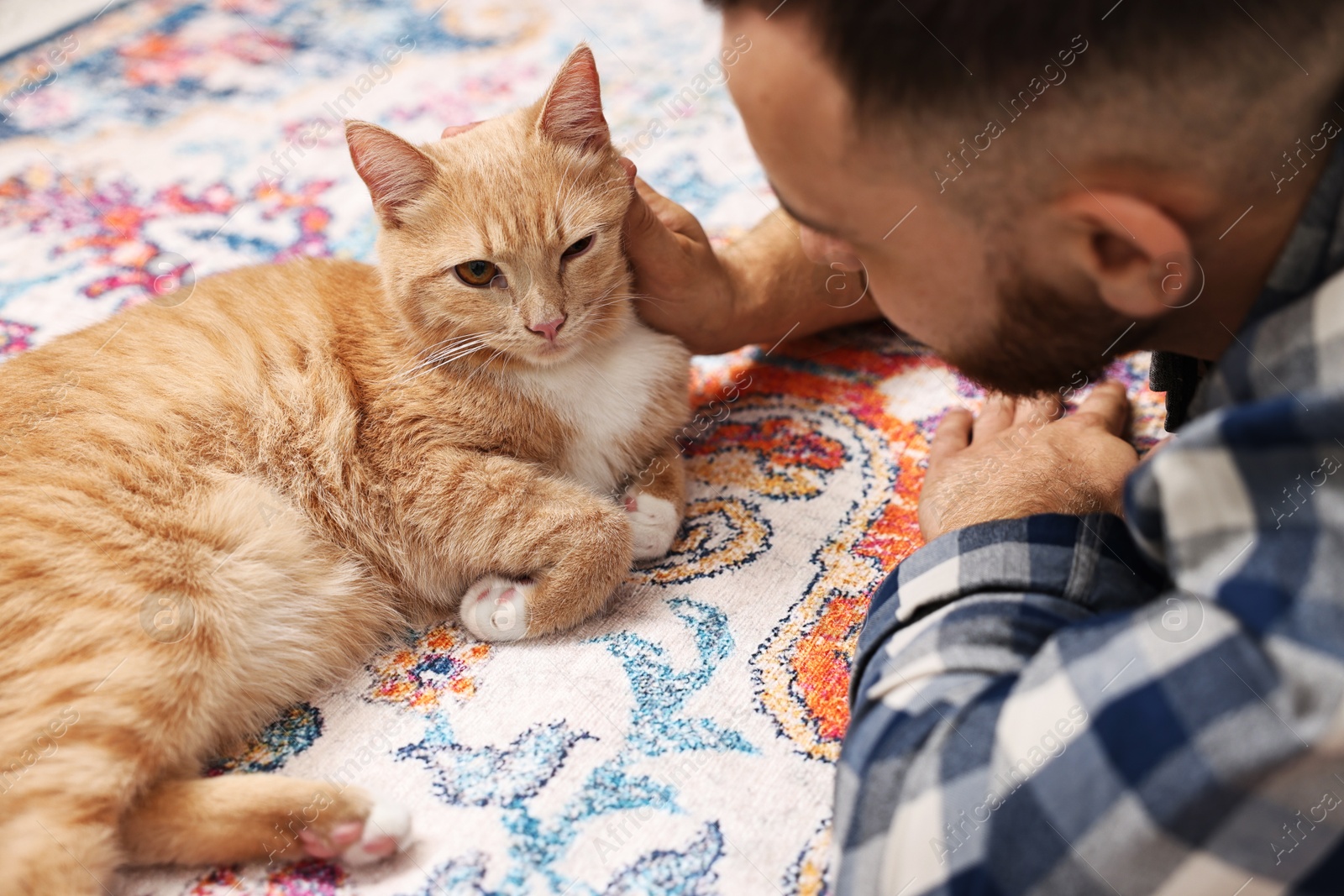 Photo of Man petting cute ginger cat on floor at home, closeup