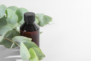 Photo of Bottle of shampoo and eucalyptus leaves on light background. Space for text