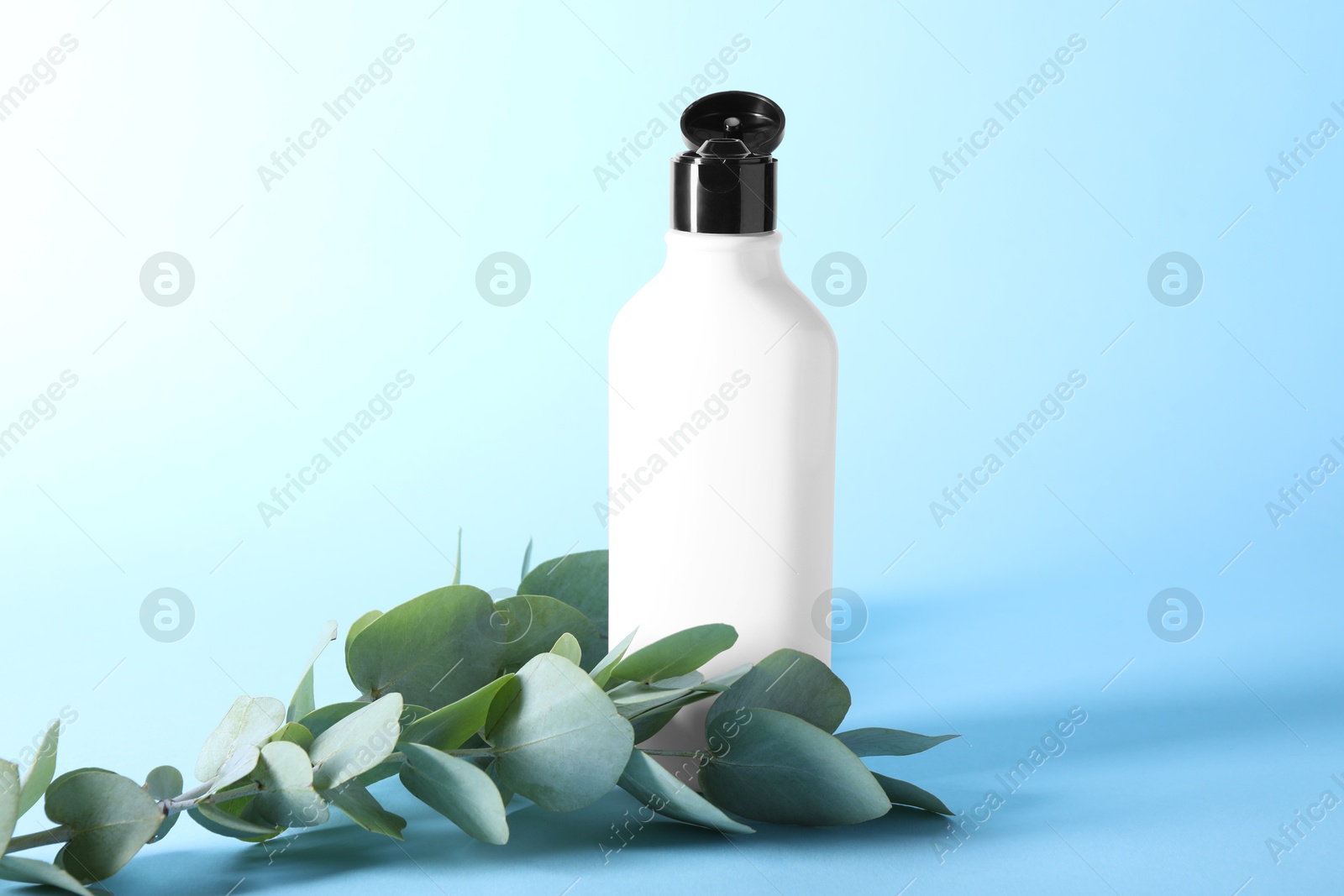 Photo of Shampoo in bottle and green eucalyptus leaves on light blue background