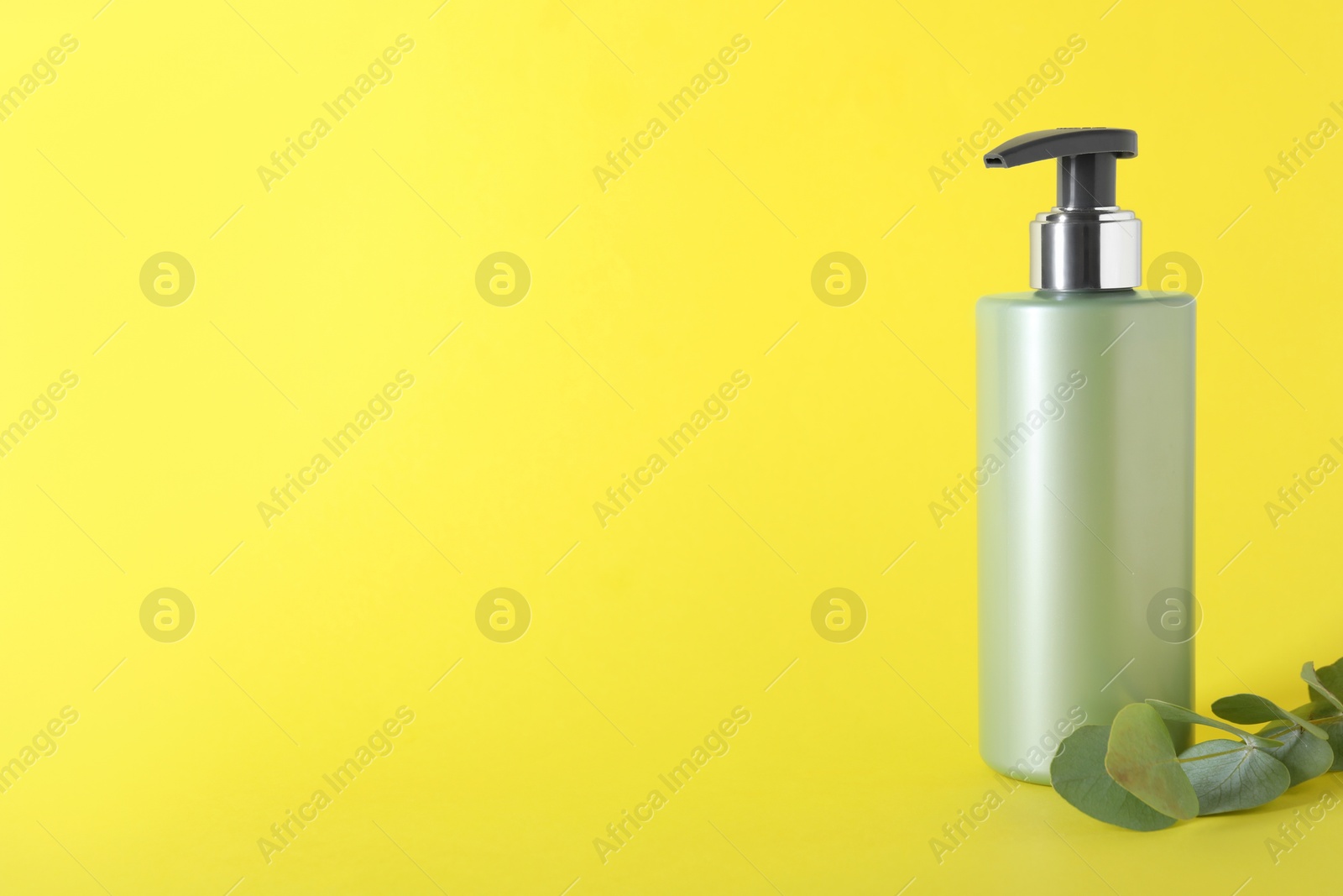 Photo of Shampoo in bottle and green eucalyptus leaves on yellow background, space for text