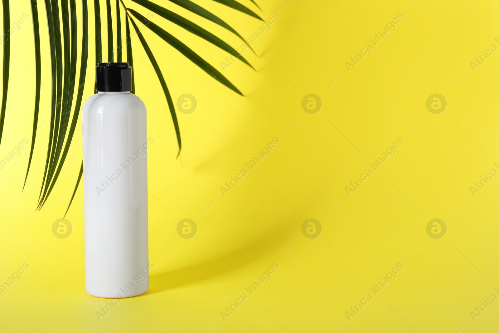 Photo of Shampoo in bottle and green palm leaves on yellow background. Space for text