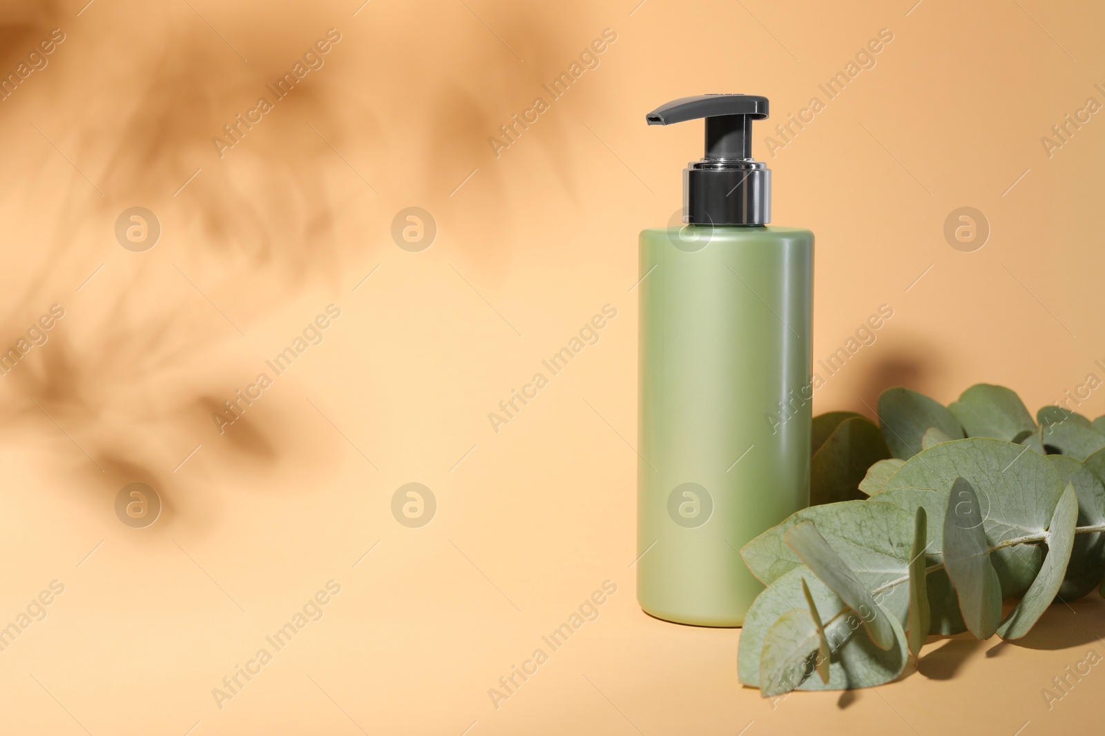 Photo of Shampoo in bottle and green eucalyptus leaves on pale orange background, space for text