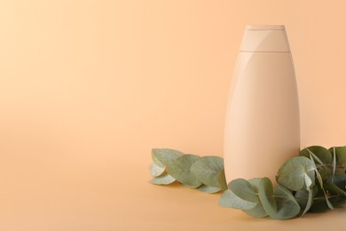 Photo of Shampoo in bottle and green eucalyptus leaves on pale orange background, space for text