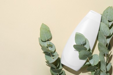 Photo of Shampoo in bottle and green eucalyptus leaves on beige background, top view. Space for text