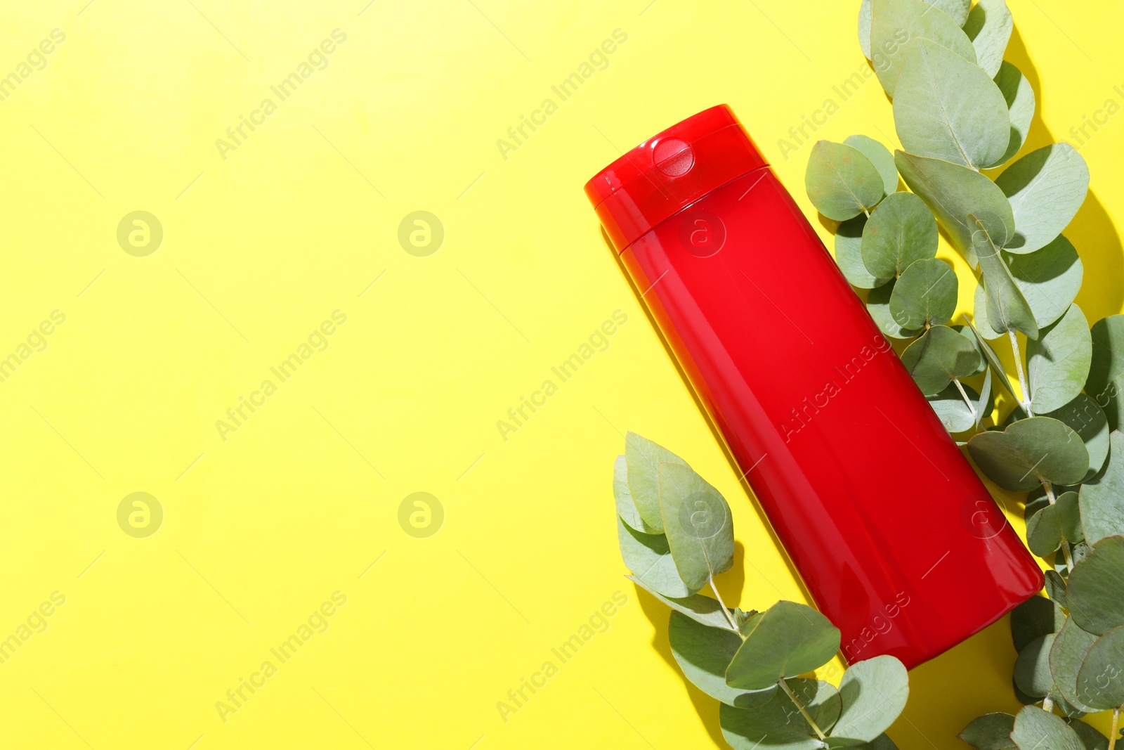 Photo of Shampoo in bottle and green eucalyptus leaves on yellow background, top view. Space for text