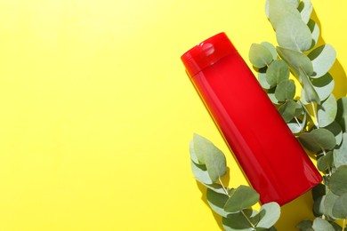 Shampoo in bottle and green eucalyptus leaves on yellow background, top view. Space for text