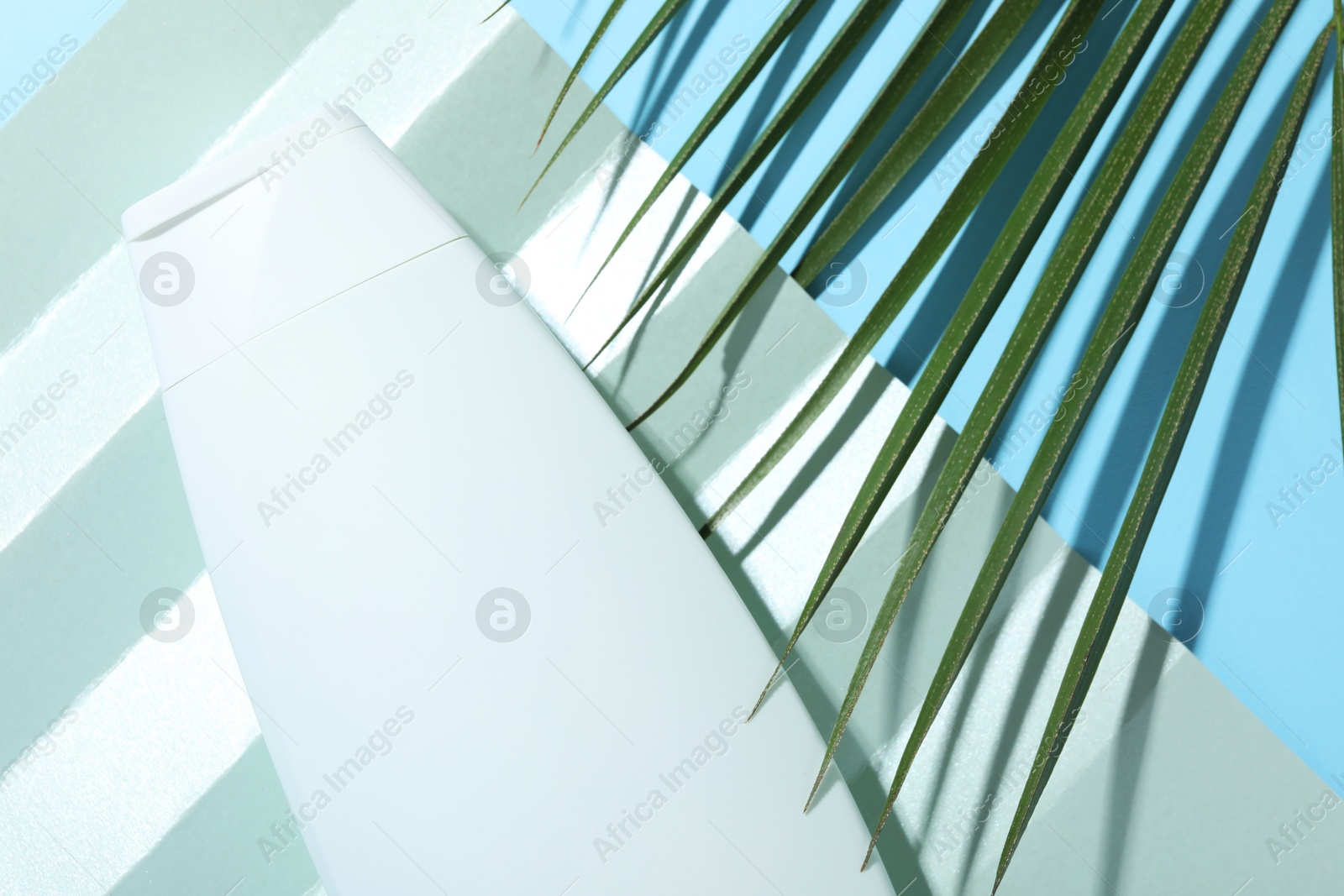 Photo of Shampoo in bottle and palm leaf on light blue background, top view