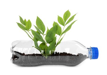 Photo of Recycling concept. Plastic bottle with plant isolated on white