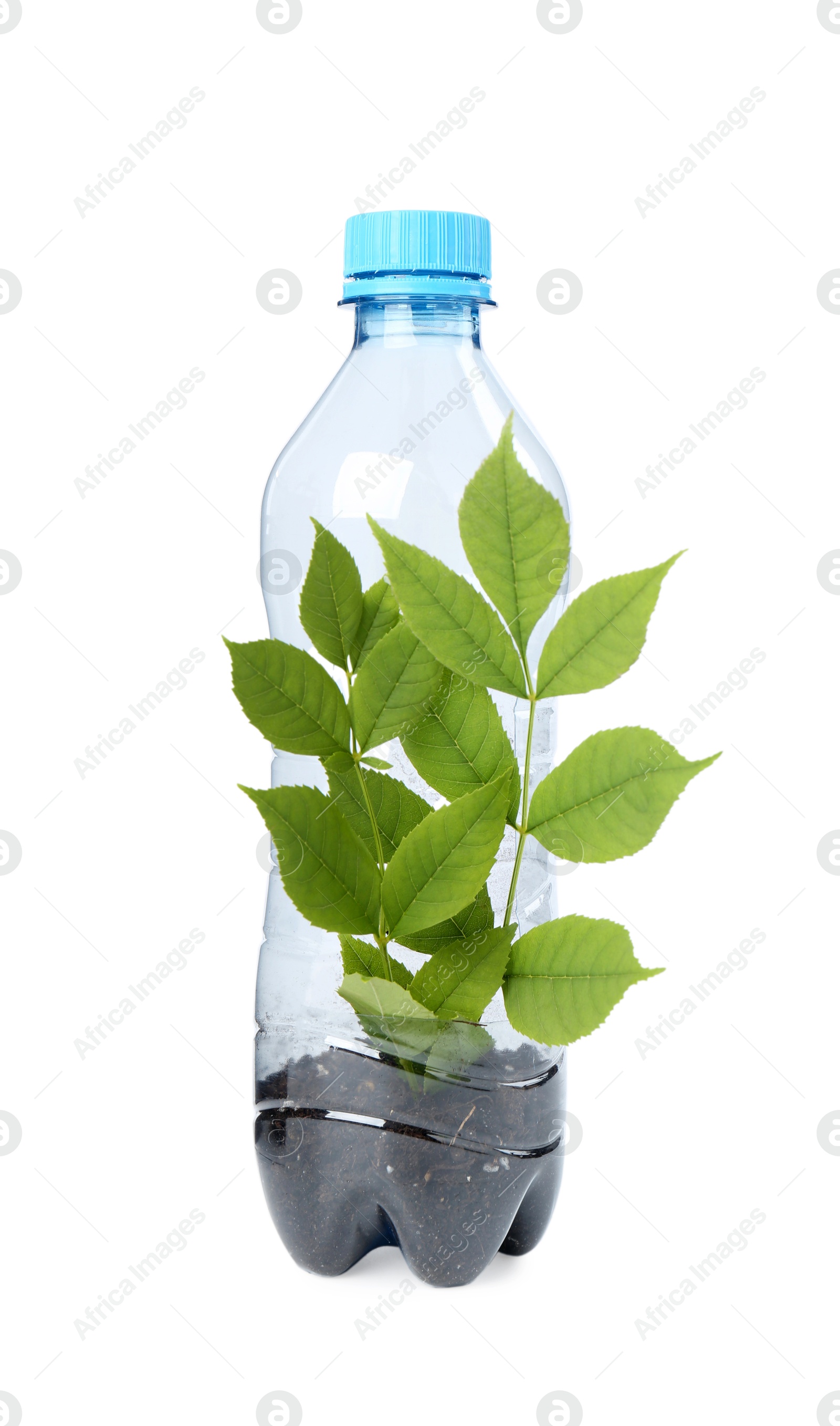 Photo of Recycling concept. Plastic bottle with plant isolated on white