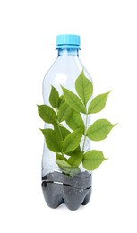 Photo of Recycling concept. Plastic bottle with plant isolated on white