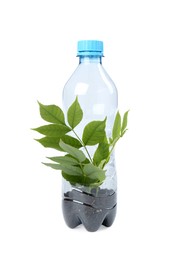 Photo of Recycling concept. Plastic bottle with plant isolated on white