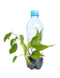 Photo of Recycling concept. Plastic bottle with plant isolated on white