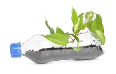 Photo of Recycling concept. Plastic bottle with plant isolated on white