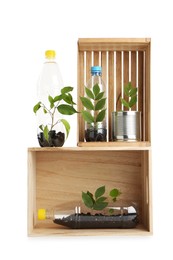 Photo of Recycling concept. Wooden crates with plants in bottles and cans isolated on white