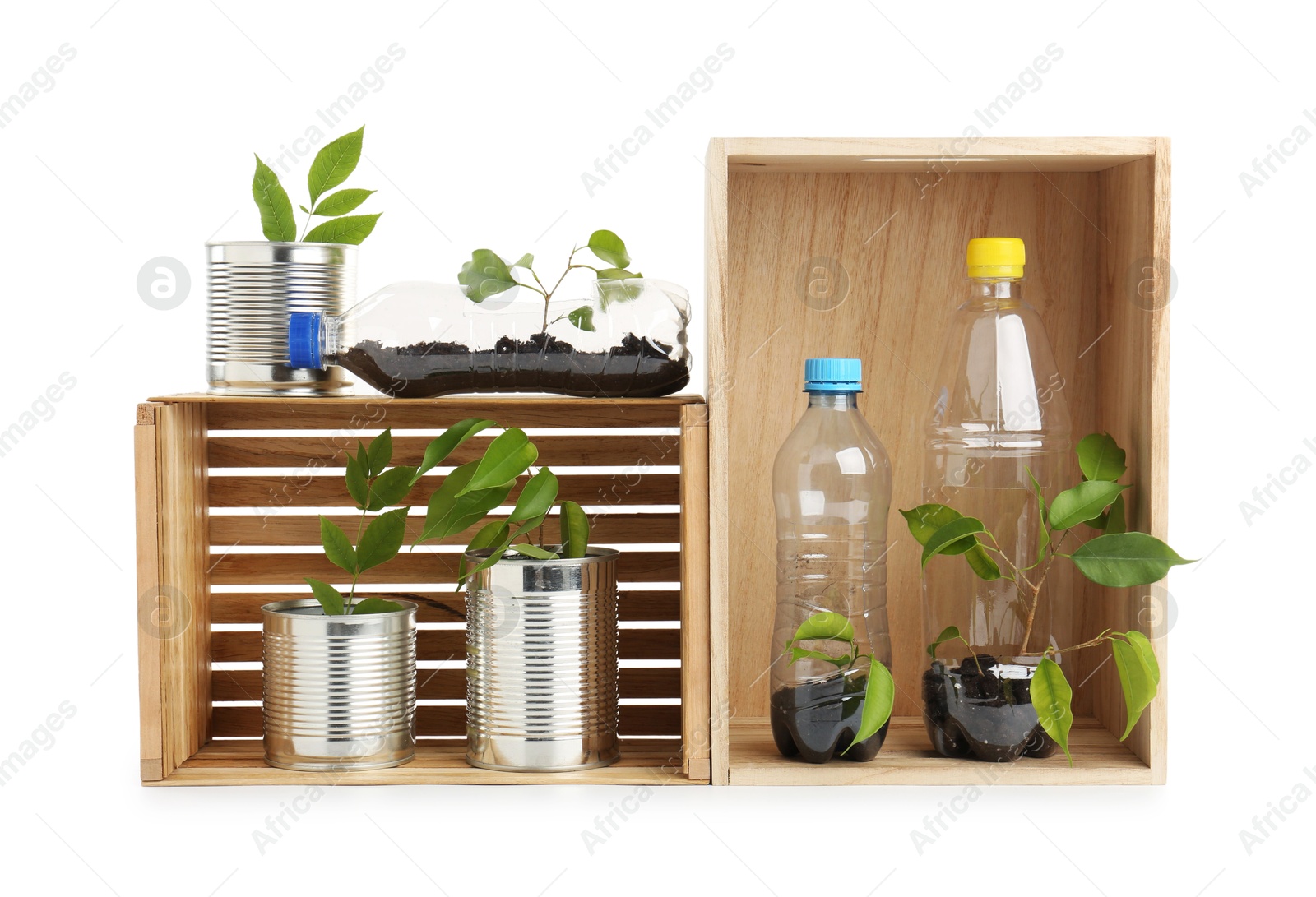 Photo of Recycling concept. Wooden crates with plants in bottles and cans isolated on white