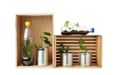 Photo of Recycling concept. Wooden crates with plants in bottles and cans isolated on white