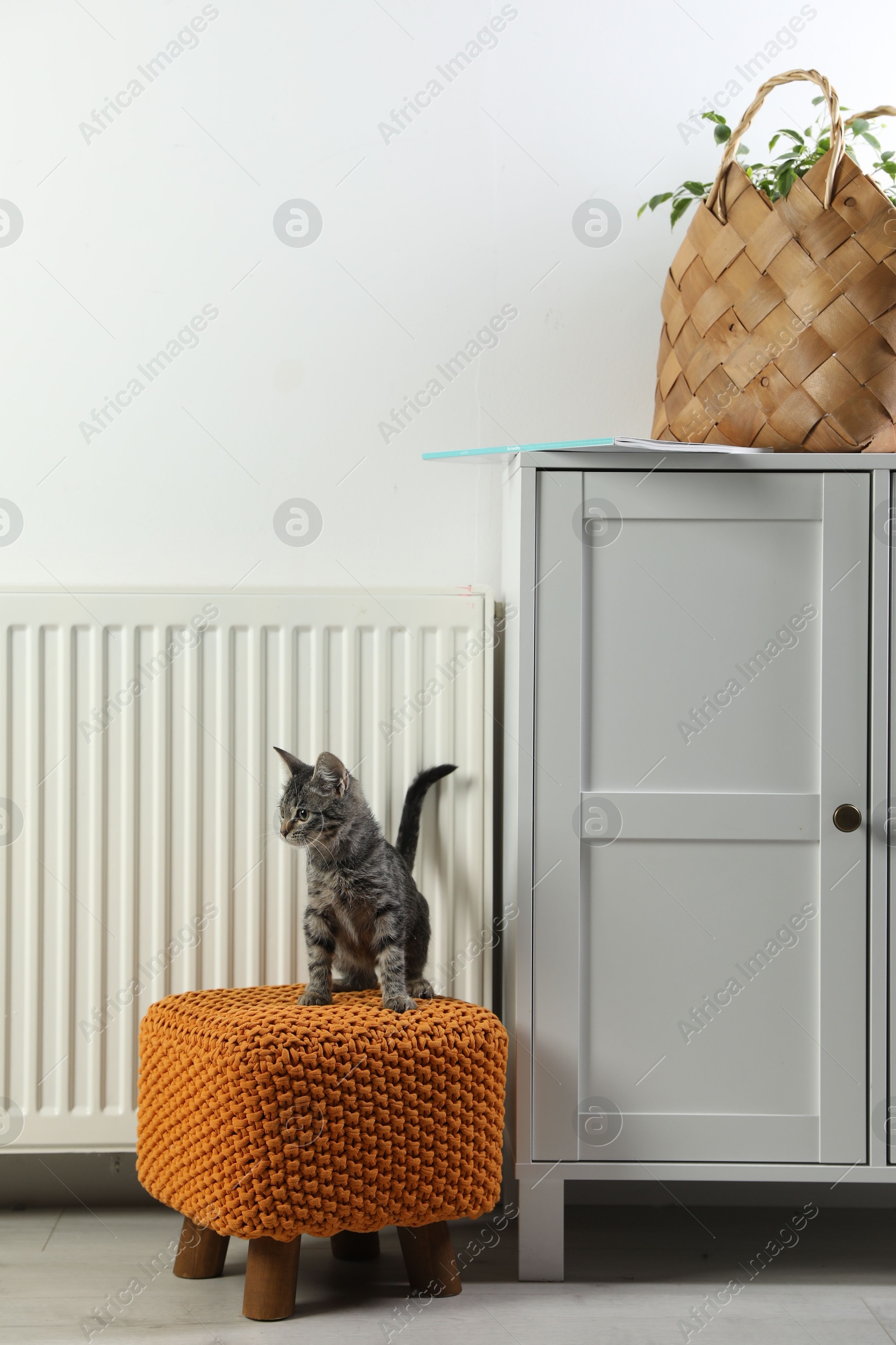 Photo of Cute little kitten on pouf near radiator at home