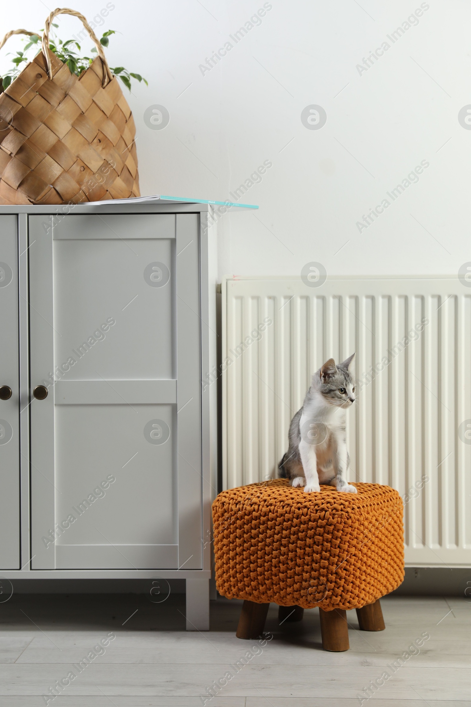 Photo of Cute little kitten on pouf near radiator at home