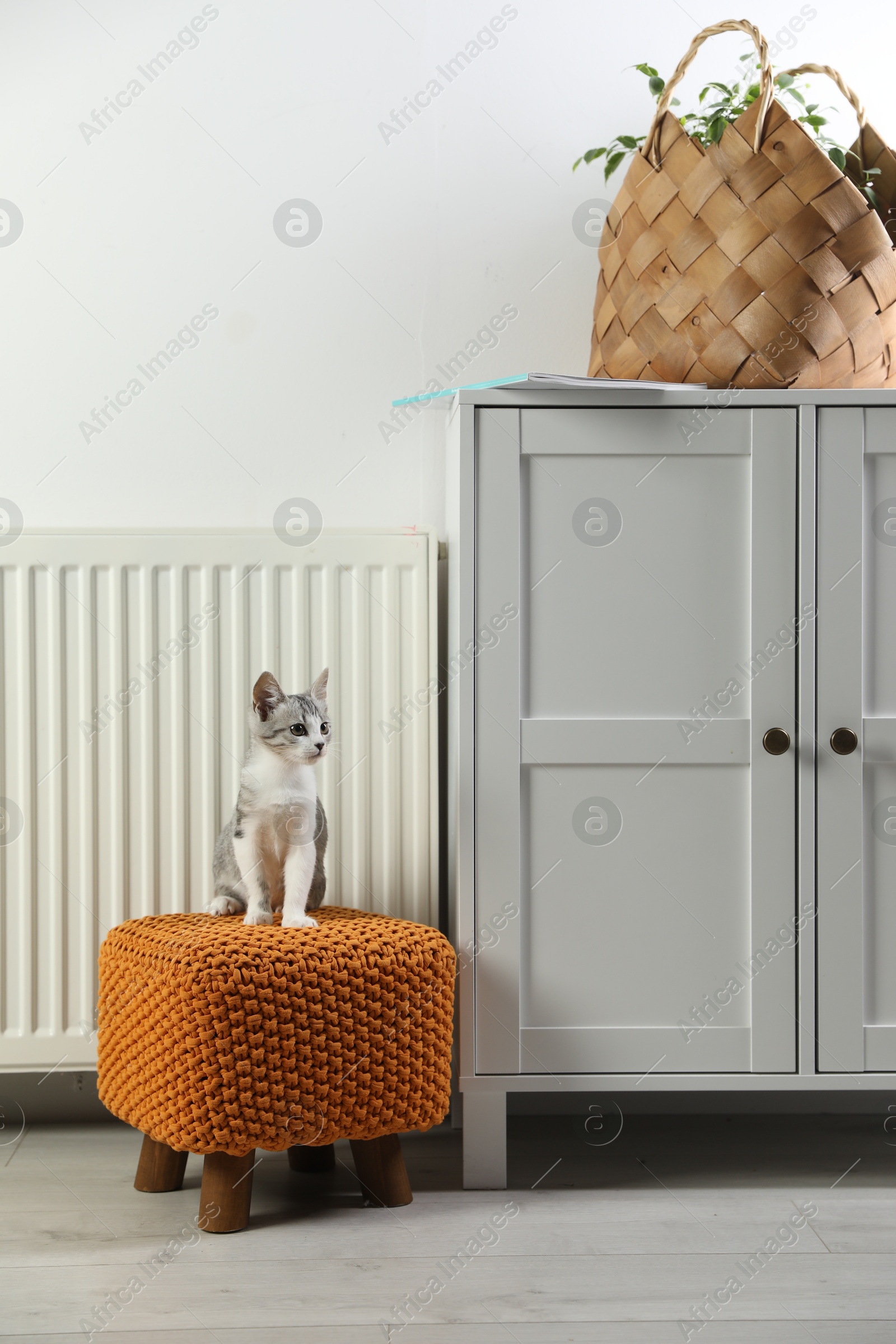 Photo of Cute little kitten on pouf near radiator at home