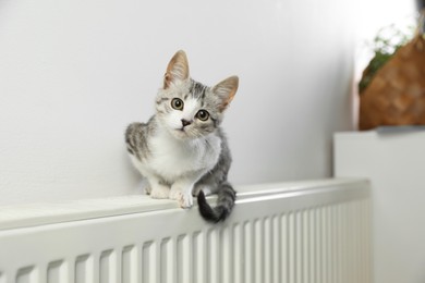 Photo of Cute little kitten on radiator at home