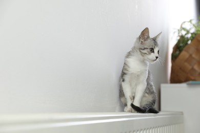 Photo of Cute little kitten on radiator at home, space for text