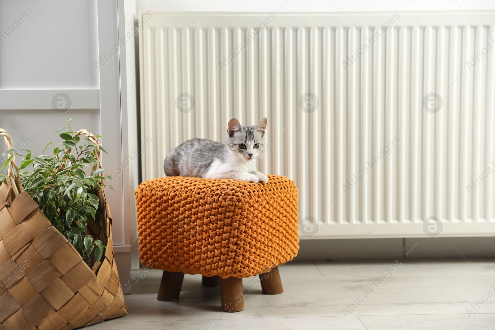 Photo of Cute little kitten on pouf near radiator at home, space for text