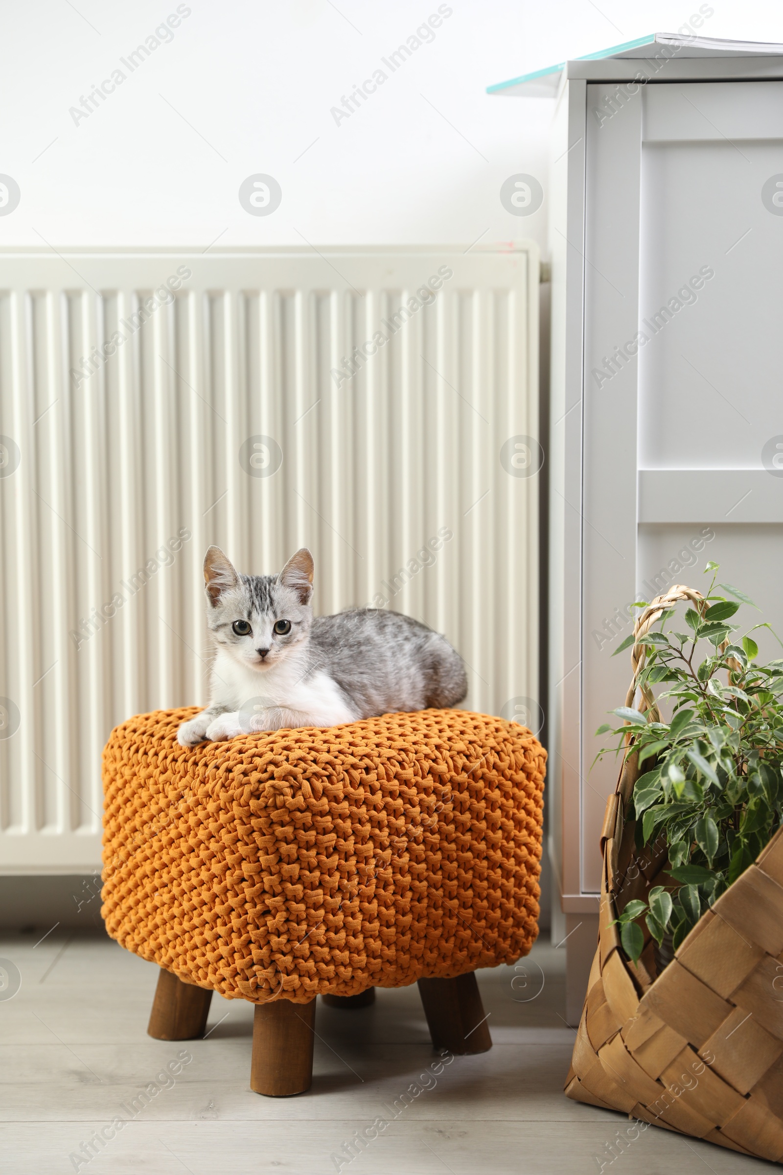 Photo of Cute little kitten on pouf near radiator at home