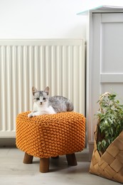 Photo of Cute little kitten on pouf near radiator at home