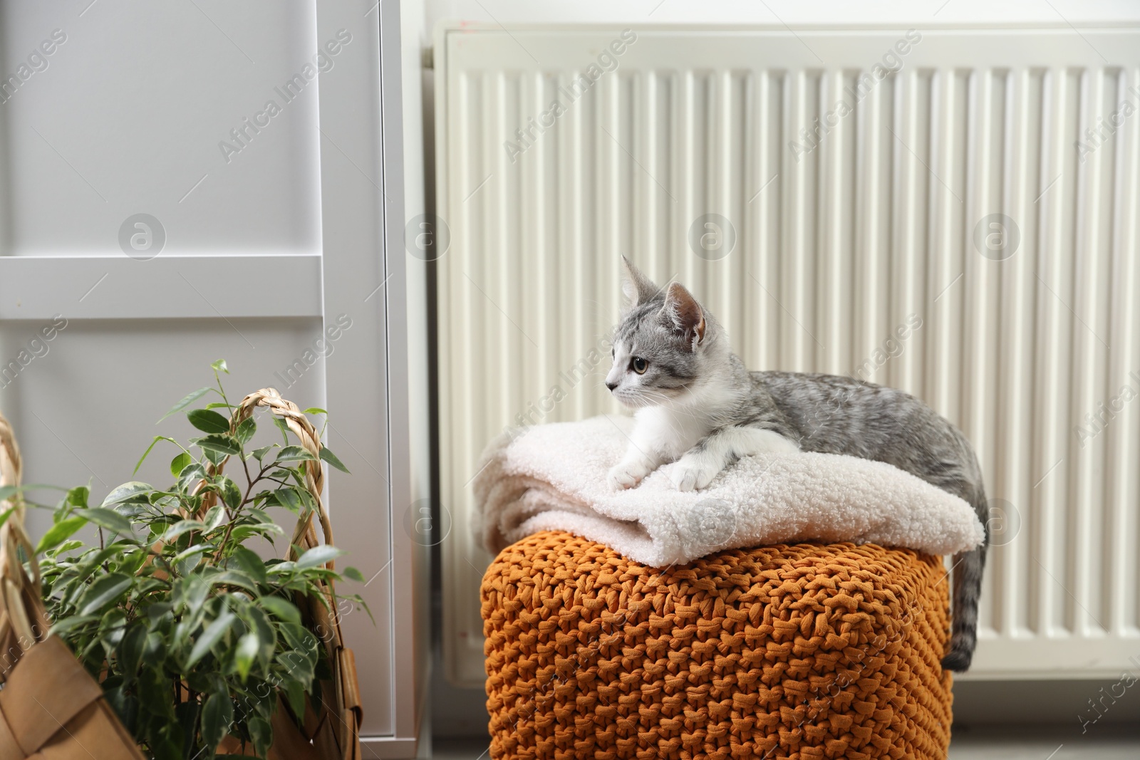 Photo of Cute little kitten on pouf near radiator at home