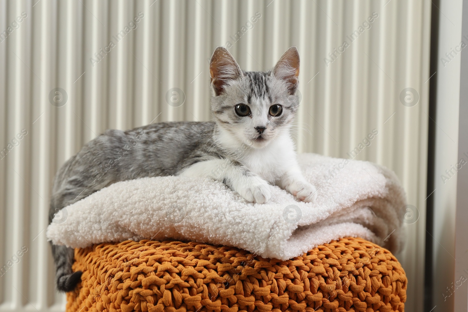 Photo of Cute little kitten on pouf near radiator at home