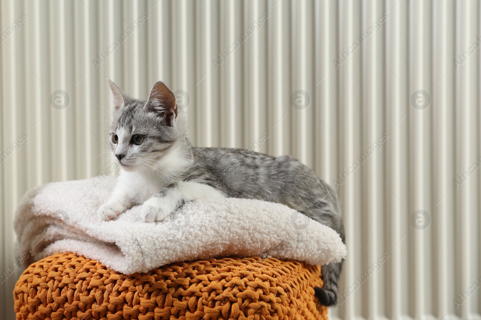 Photo of Cute little kitten on pouf near radiator at home