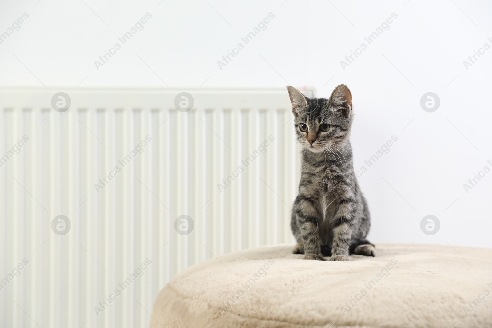 Photo of Cute little kitten on pouf near radiator at home, space for text