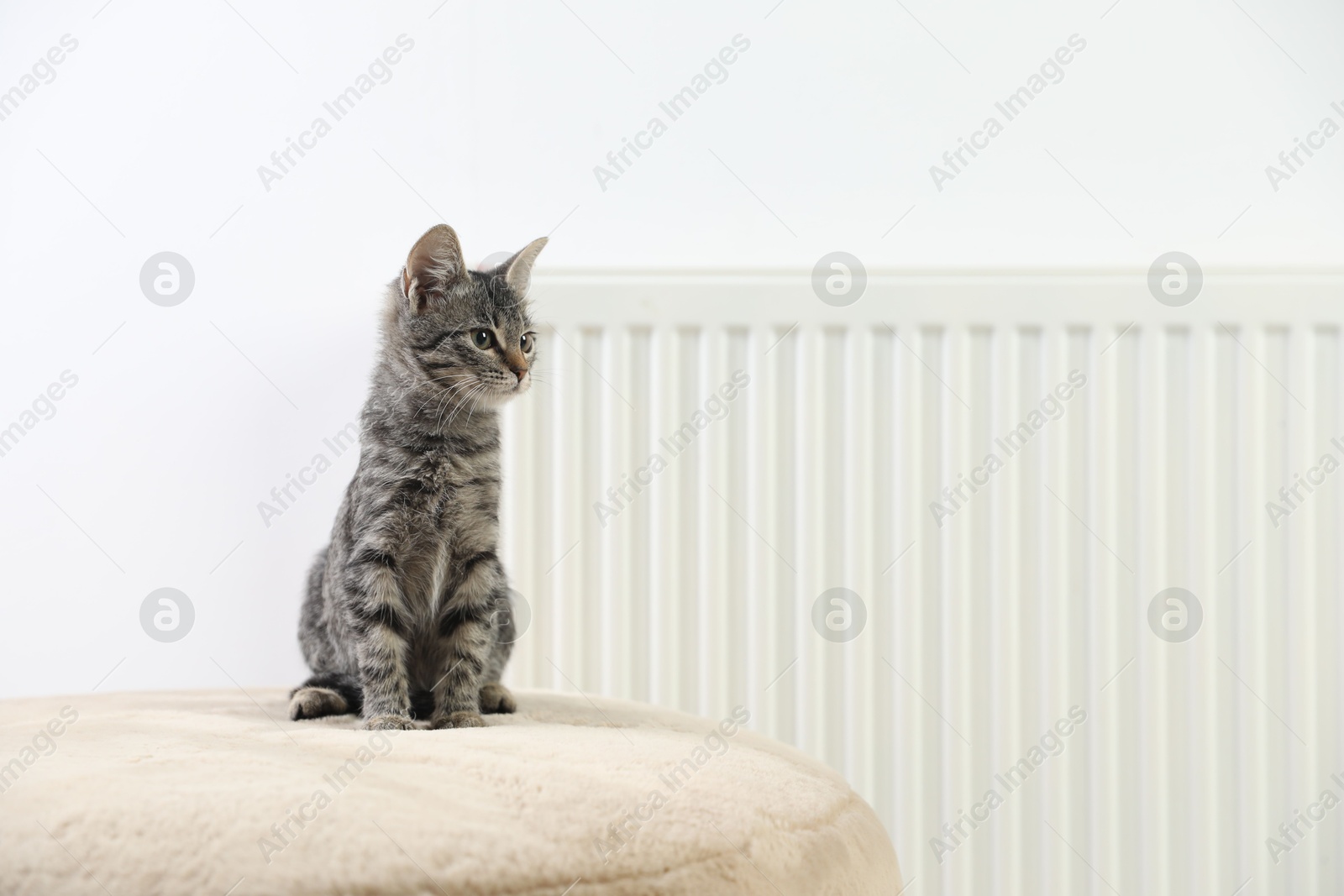 Photo of Cute little kitten on pouf near radiator at home, space for text