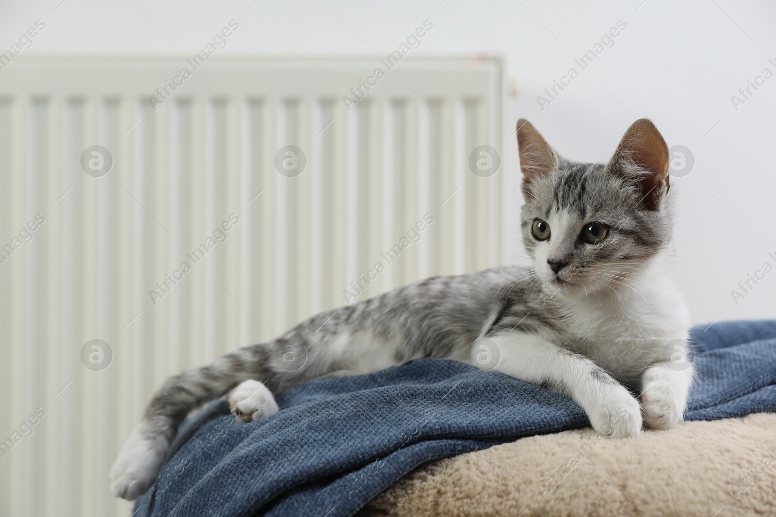 Photo of Cute little kitten on pouf near radiator at home