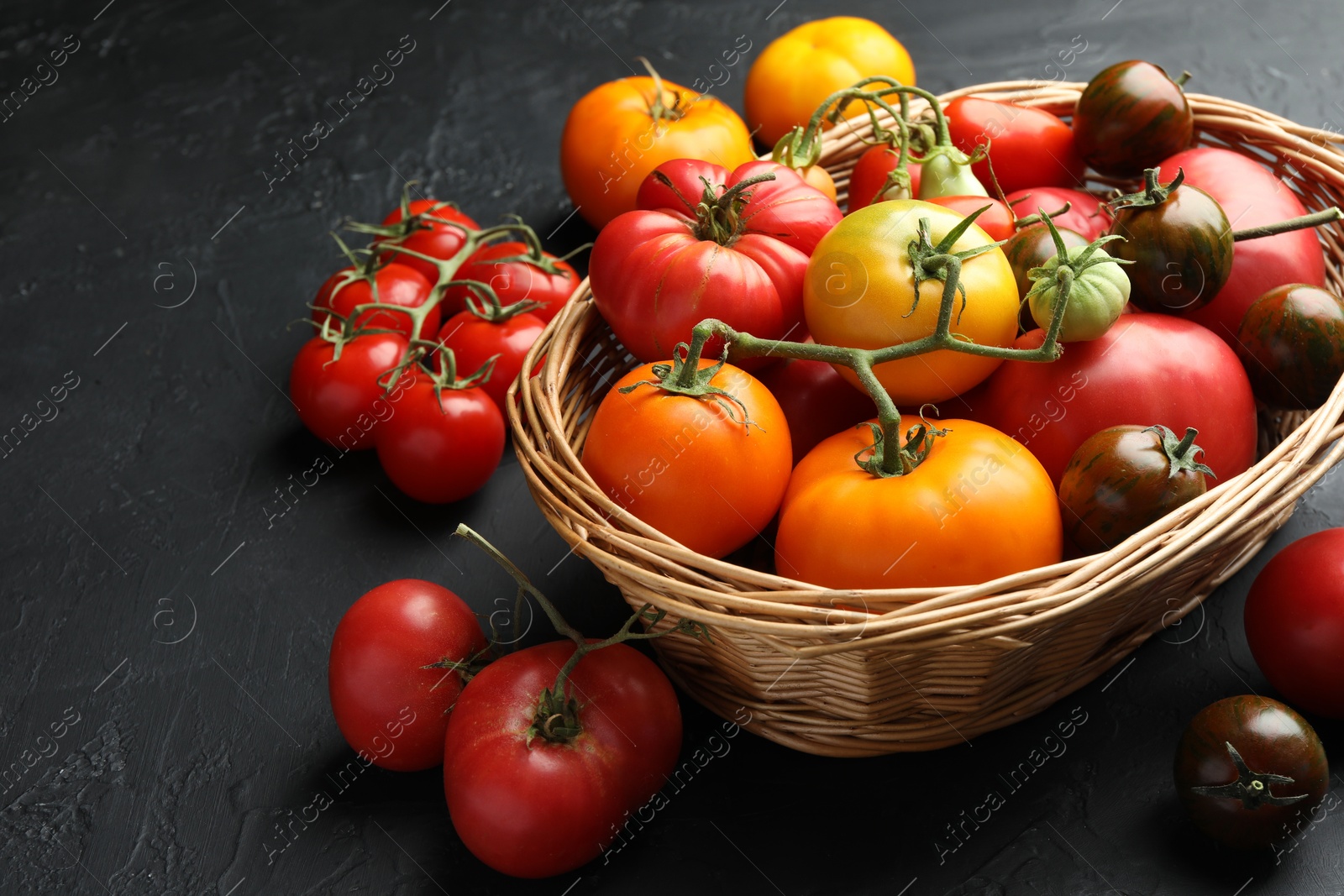 Photo of Basket with different ripe and unripe tomatoes on grey textured table