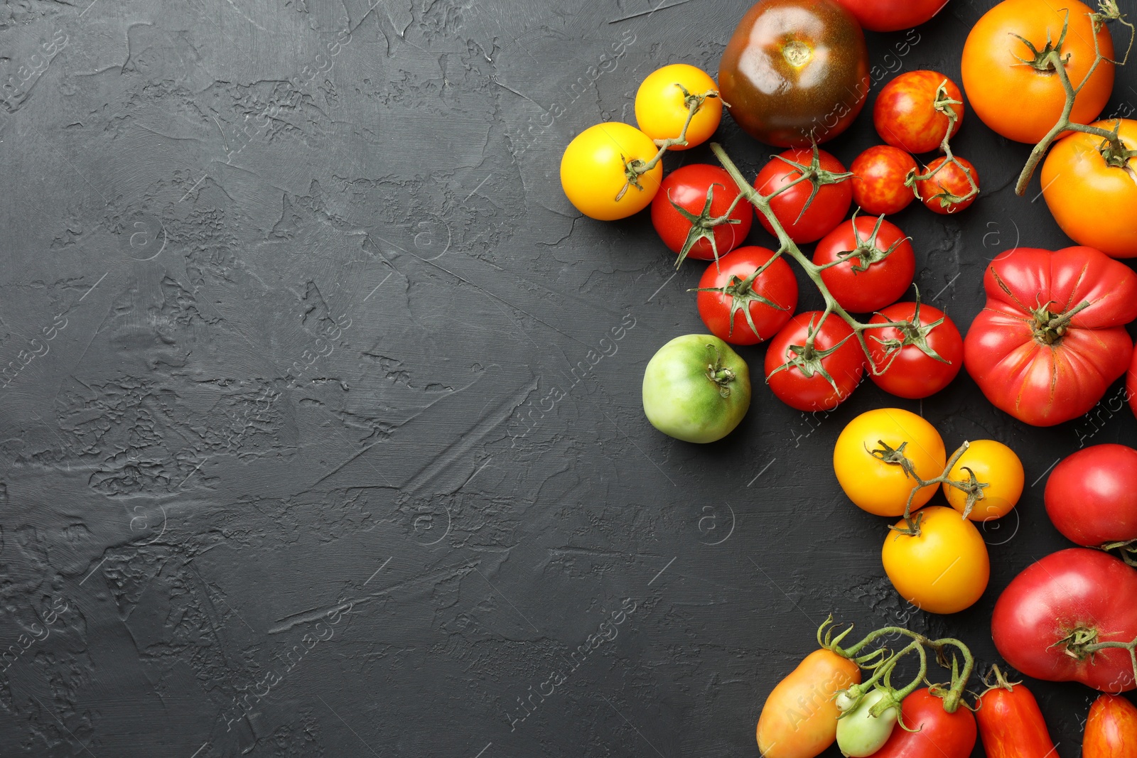 Photo of Different fresh tomatoes on grey textured table, flat lay. Space for text